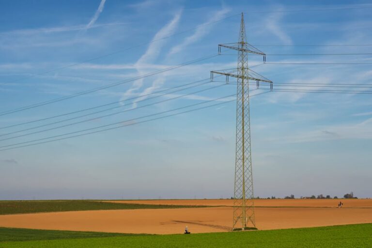 The Future of Political Coalitions in Europe