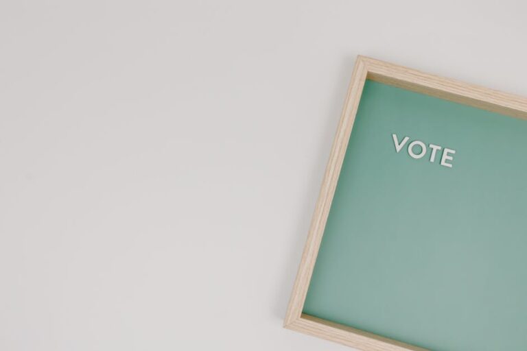 Why Political Participation Declines in Modern Societies