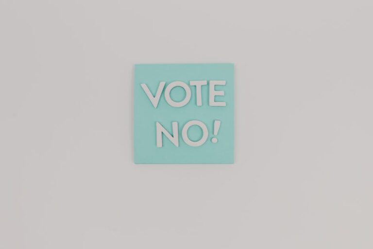 How Referendums Change the Political Landscape