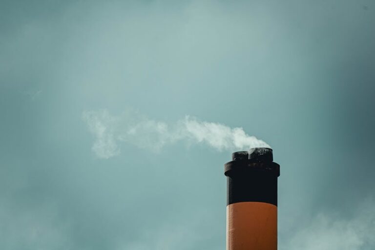 The Global Impact of Policy Decisions on Climate